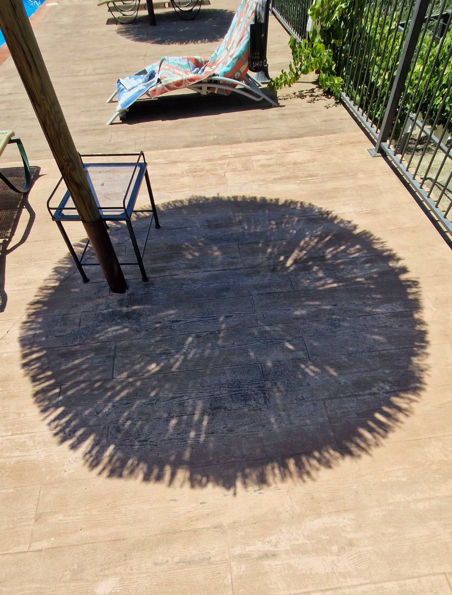 serolf's tweet image. OMG!

Na de jarenlange onverklaarbare golf van gesignaleerde #graancirkels in de #USA, wordt nu #Spanje🇪🇸 geteisterd door de misterieuze #sombrillahysteria.