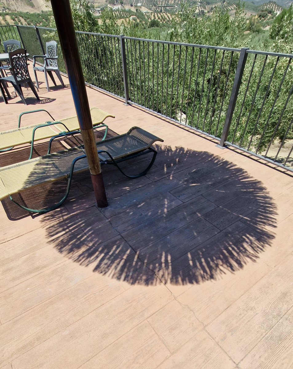 serolf's tweet image. OMG!

Na de jarenlange onverklaarbare golf van gesignaleerde #graancirkels in de #USA, wordt nu #Spanje🇪🇸 geteisterd door de misterieuze #sombrillahysteria.