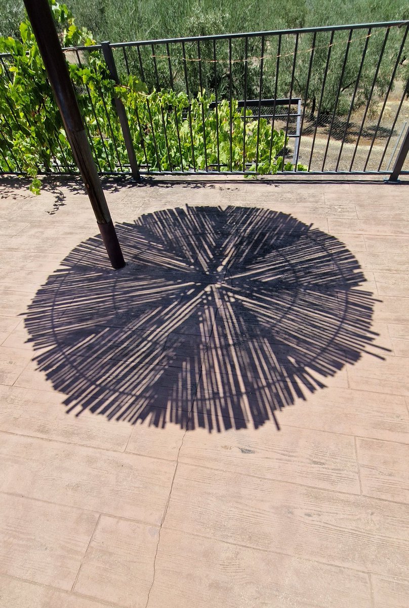 serolf's tweet image. OMG!

Na de jarenlange onverklaarbare golf van gesignaleerde #graancirkels in de #USA, wordt nu #Spanje🇪🇸 geteisterd door de misterieuze #sombrillahysteria.