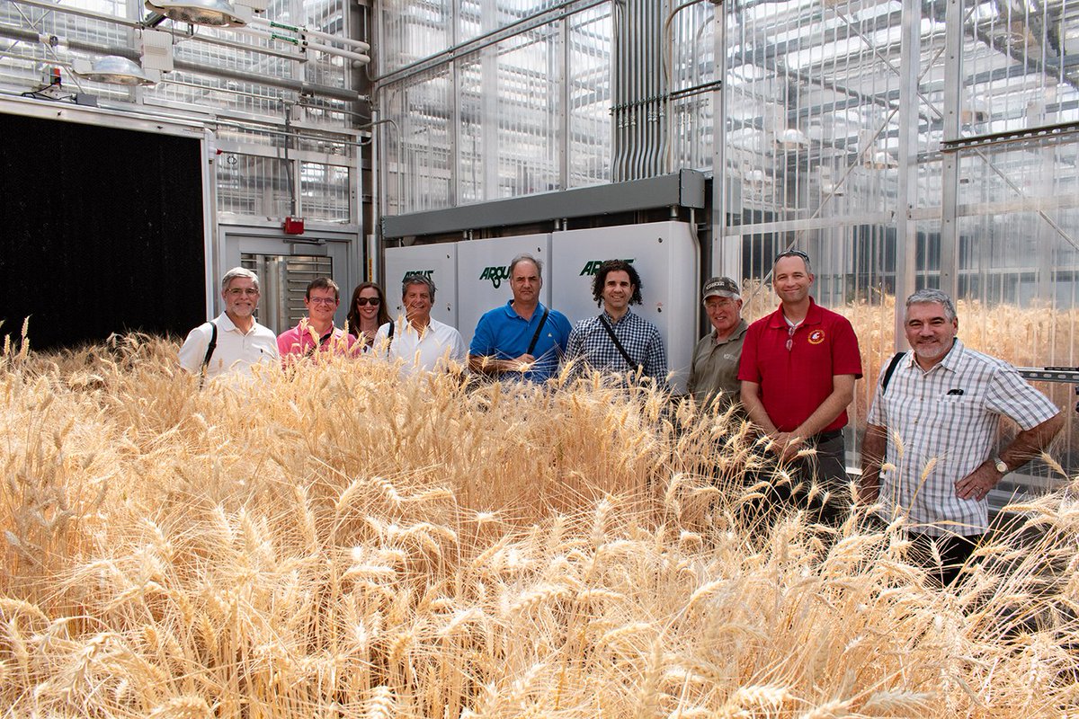 WashingtonGrain's tweet photo. Representatives from several Chilean milling companies traveled through Eastern Washington with @washingtongrain to learn about #WashingtonGrown soft white wheat.
@uswheatassoc #WAwheat #smallgrains #endusequality #marketdevelopment #exportmarkets #Chile https://t.co/w8zwnwU7Xs