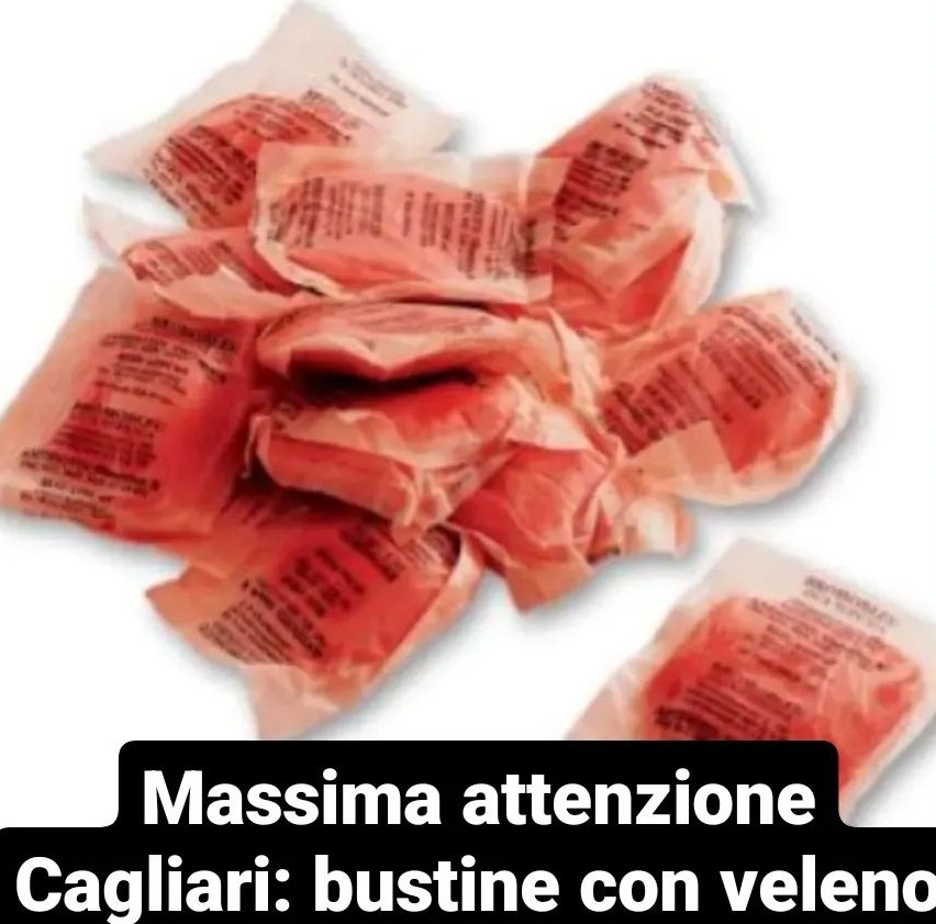 🆘🆘🆘🆘🆘🆘mandato dai vari rifugi..cani avvelenati 🆘🆘🆘🆘