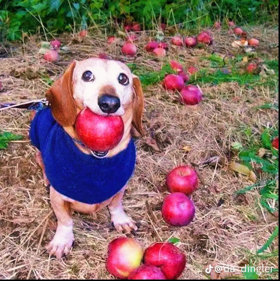 forgot to post yesterday cuz drunk but i’m officially 21 🤗💁🏼‍♂️