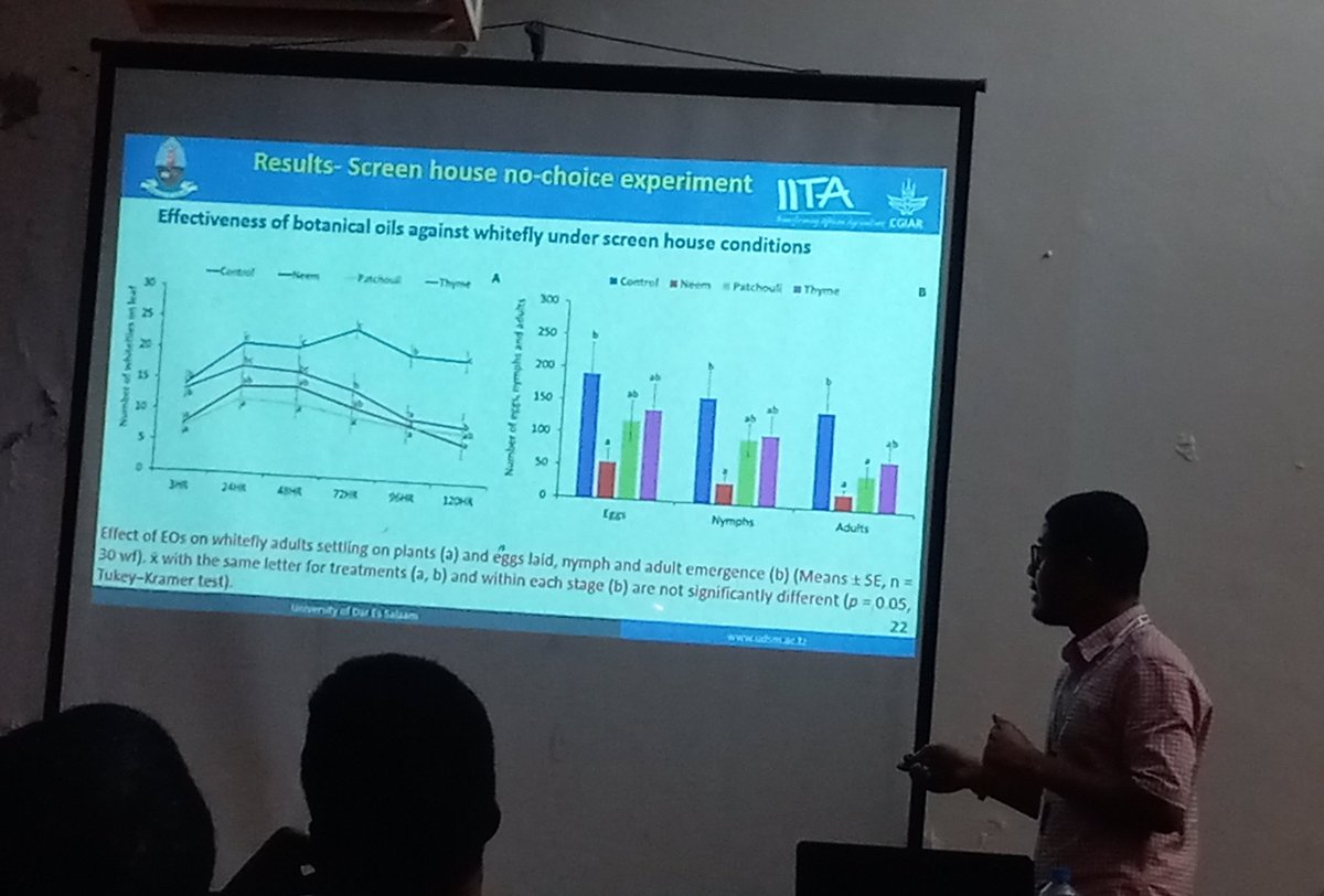 Massoud Amour of #IITA's PASHA-Tz Team defends His Masters thesis at The #UDSM. His ground breaking #research highlights the Efficacy of botanical oils and entomopathogenic fungi in controlling an important #cassava pest, #Bemisia tabaci.