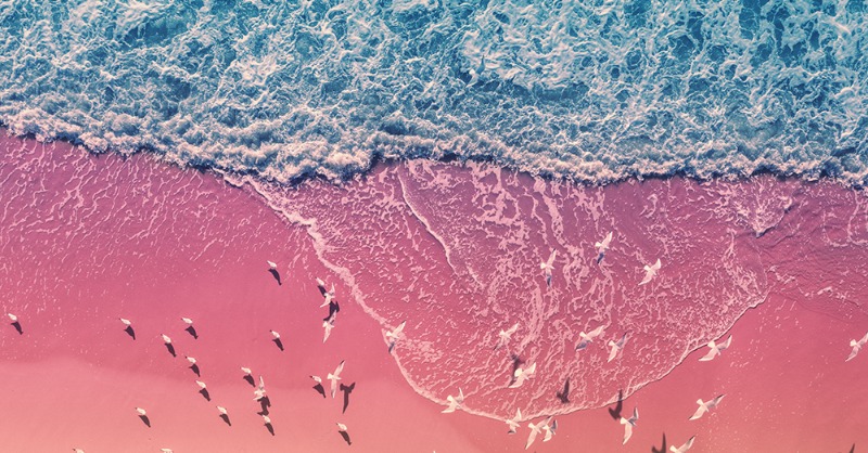 EU_Commission's tweet photo. Europe’s nature is in alarming decline. Restoring wetlands, forests, grasslands, marine ecosystems, and their species is crucial to:

🔹increase biodiversity
🔹limit global warming to 1.5°C

On #WorldNatureConservationDay, let’s commit to protect the future of our species.