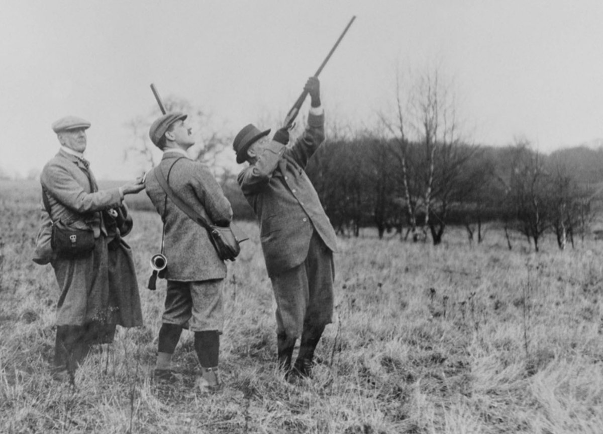 CheesyHerald's tweet photo. Phwooarrr #DieuEtMonFromage #DeerStalking https://t.co/I8a9JPSKVo