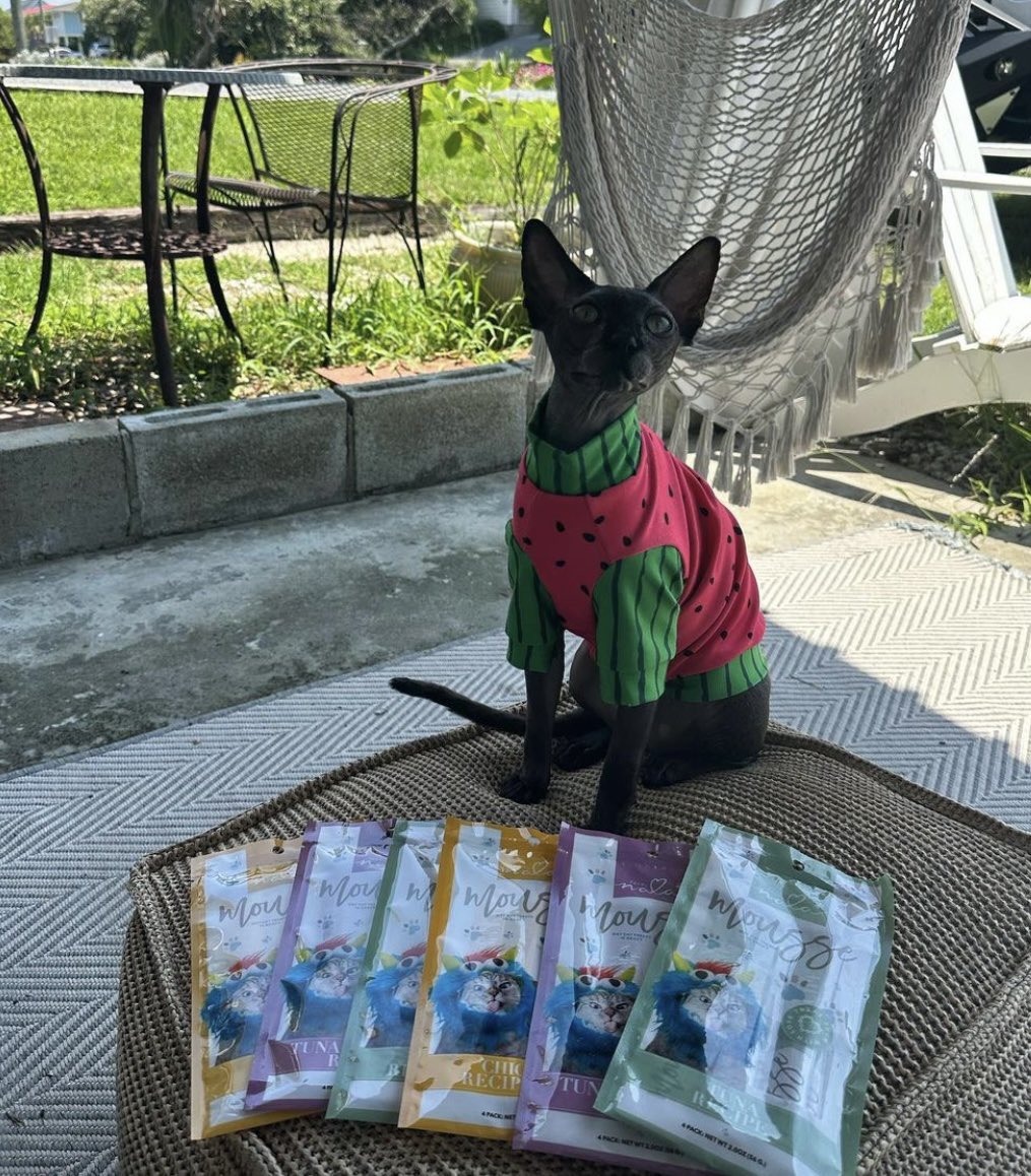 lovenalaco's tweet photo. Don’t miss this pawsome giveaway over on IG! Visit Sphynx.Please  to learn more 😻 

https://t.co/wO5stER9Hq

#cats #cat #love #lovenala #nalacat #cattreats #giveaway https://t.co/OBSmg3z80x
