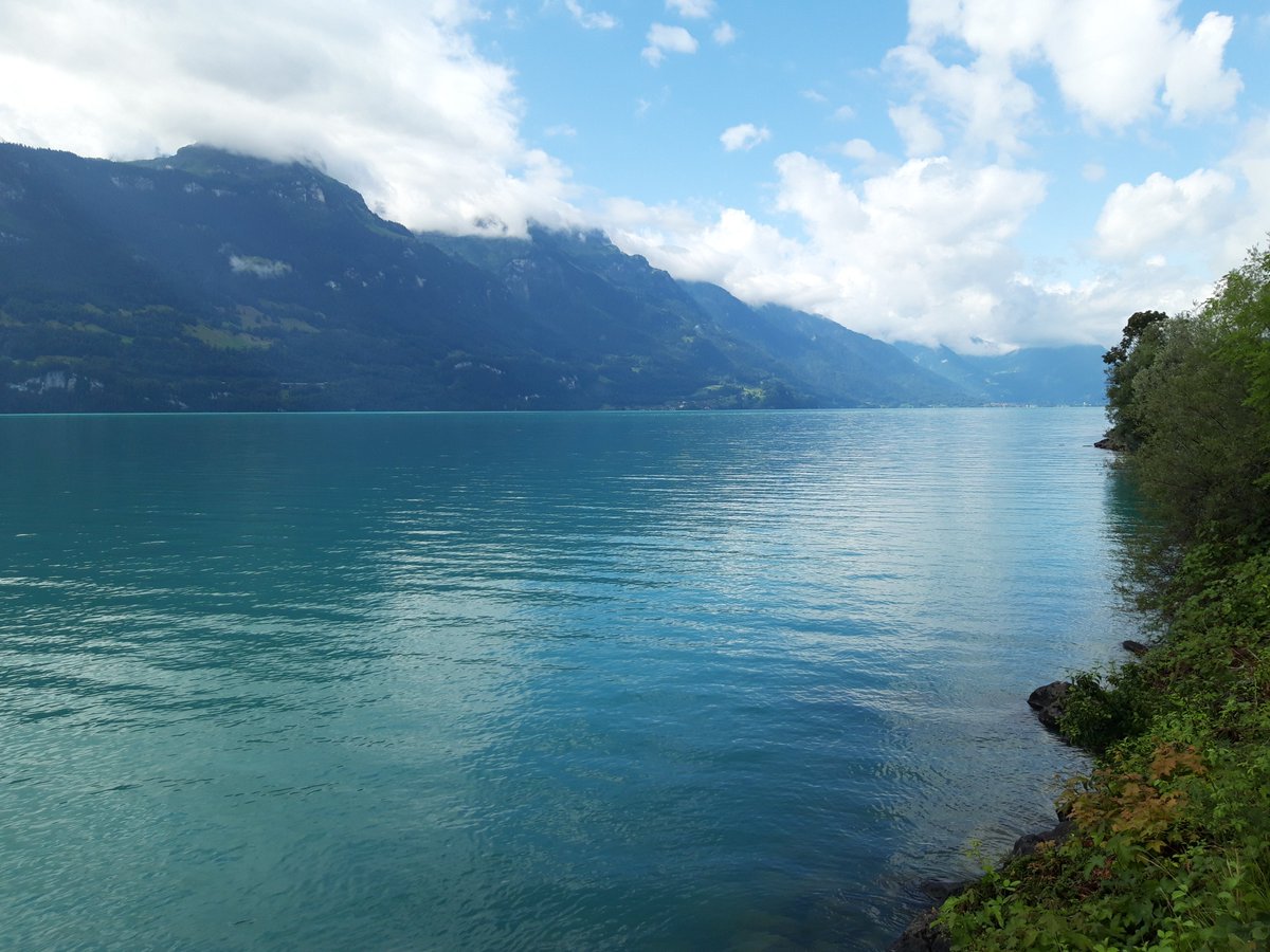 MJKnippenberg's tweet photo. Vier heerlijke vakantiebeelden: #Interlaken, #Hout, #Steenbok (Heidi's Haus) en #Splügenpas (Passo della #Spluga). #Endless #Summer 2023. Knip on Tour @DirkJanRoeleven https://t.co/zOkNomFCf9