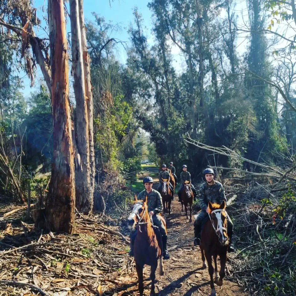 Guarnición Región Metropolitana tweet media