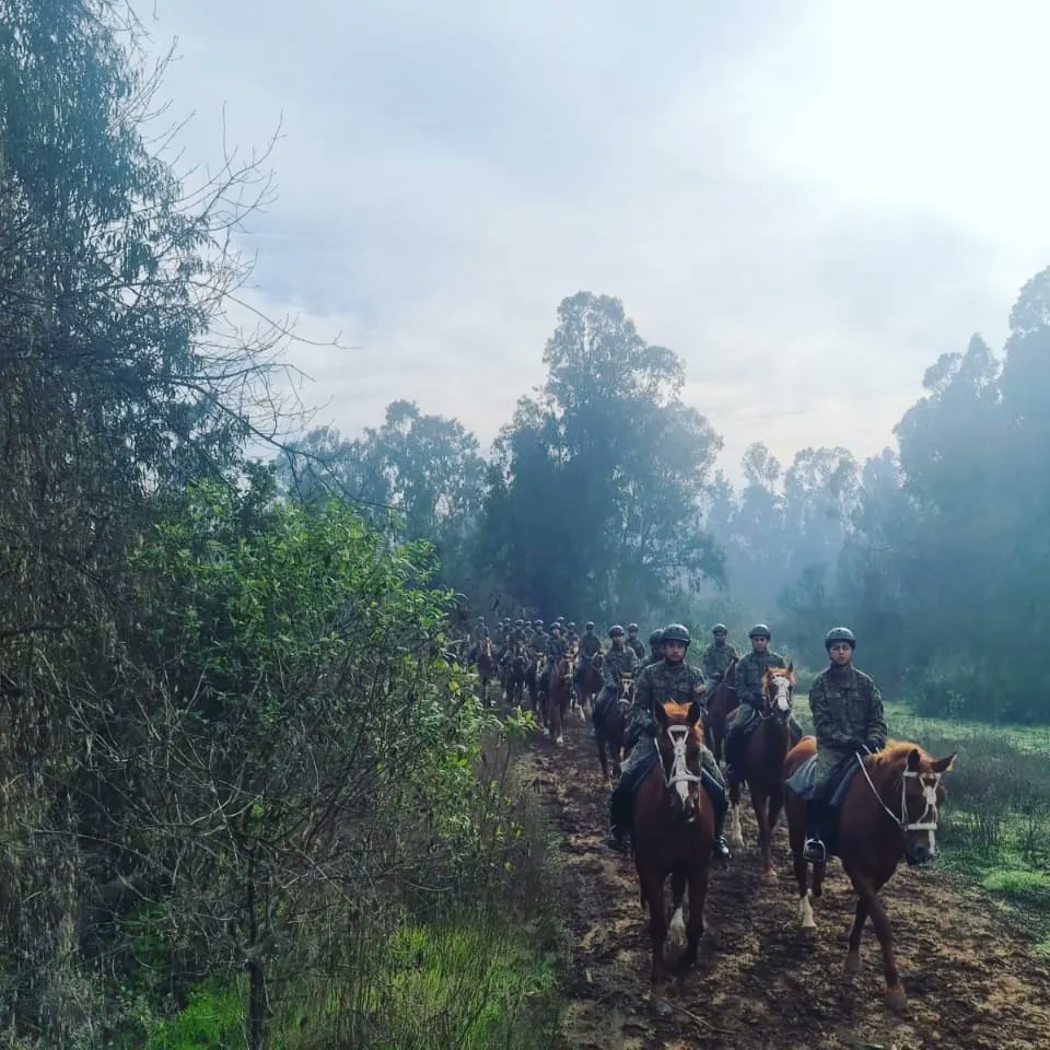 Guarnición Región Metropolitana tweet media