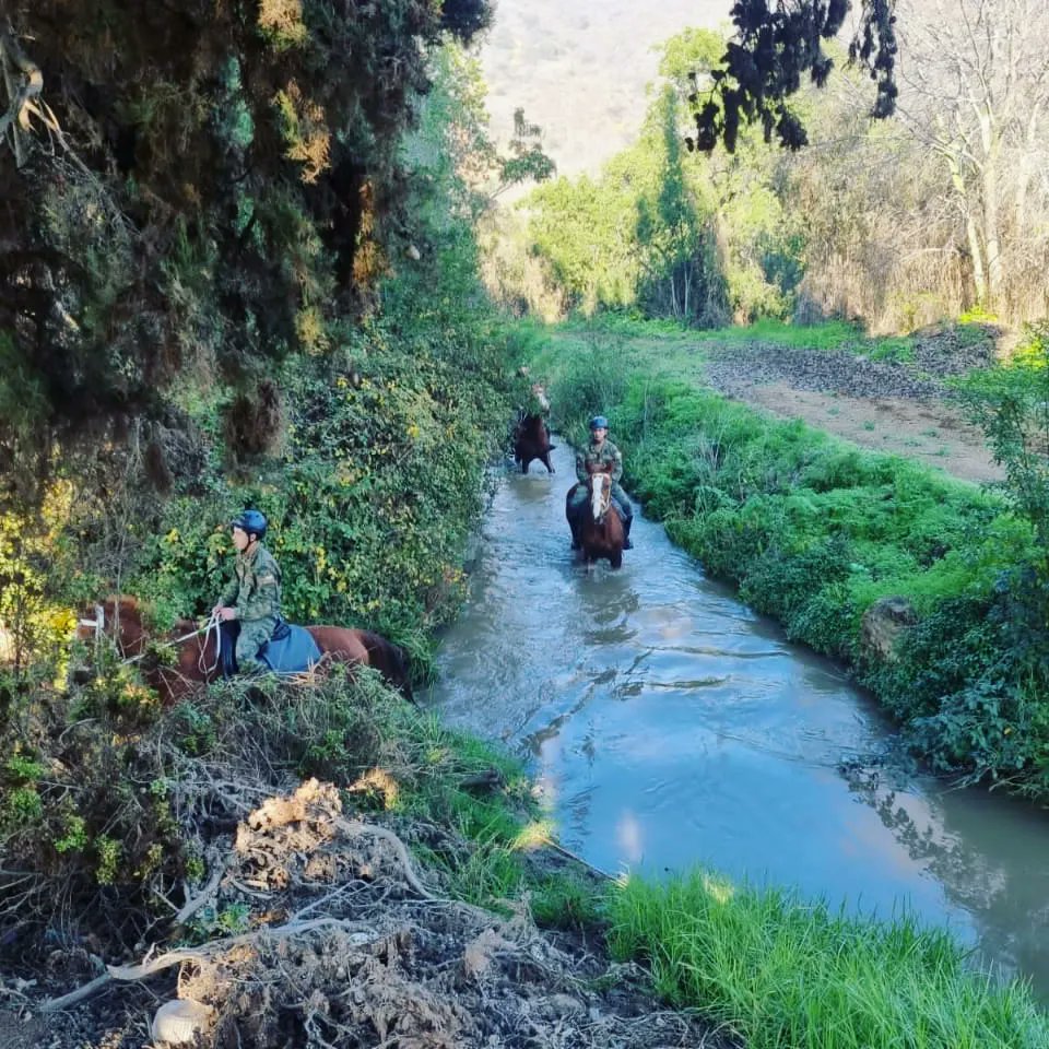 Guarnición Región Metropolitana tweet media