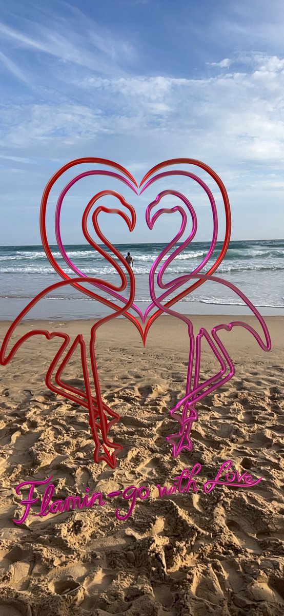 pactfinance's tweet photo. All of our gratitude to @fionaaboud, an outstanding artist committed to making the world a better place.
Through her masterpiece "Flamin-go with Love" on @ChangeDAO, Fiona donated to the #UBI of the community @neduc_social from Brazil 🇧🇷 

Obrigada, Fiona! https://t.co/AkT6J16kQh