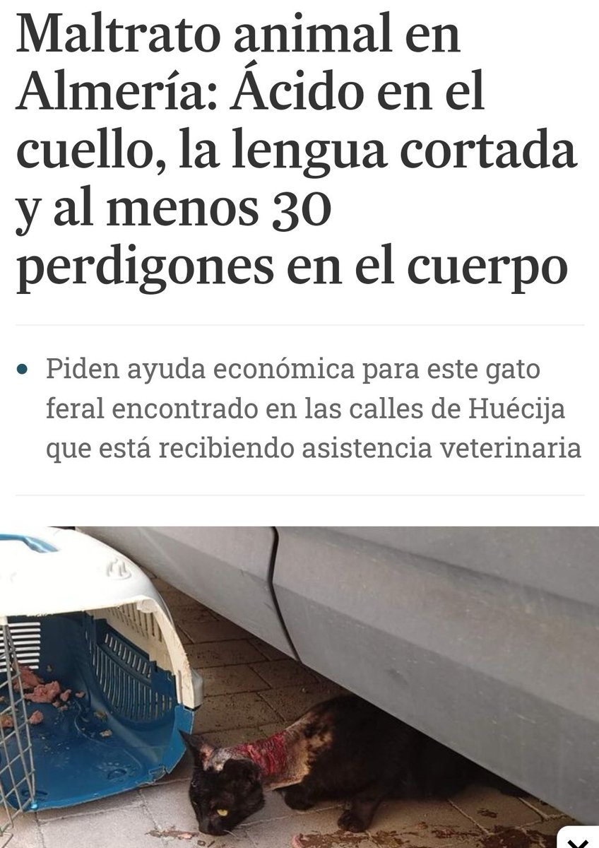 ruben_prz's tweet photo. Jamás buenos días para la escoria capaz de hacer esto 👇🏼 https://t.co/gm4dFEXC6F