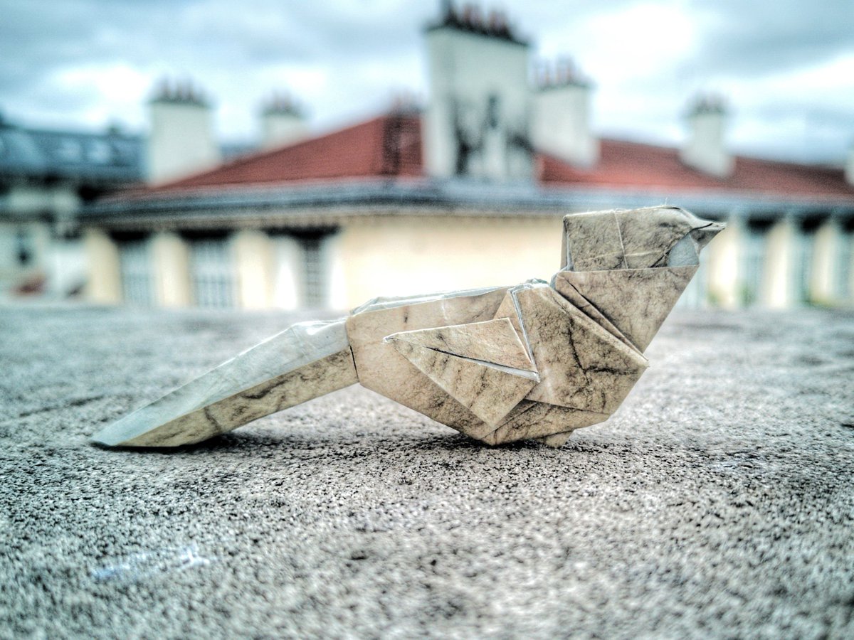 BarthDunkan's tweet photo. Origami Sparrow.
Passereau stylisé et plié à partir d'un carré par Barth Dunkan (EcOrigami).
Sparrow designed and folded from a square by Barth Dunkan (EcOrigami)
#barthdunkan #ecorigami #bird #origami #paperfolding #paperart #mfpp #origamibird #origamisparrow #passereau https://t.co/lGCTW5Rjny
