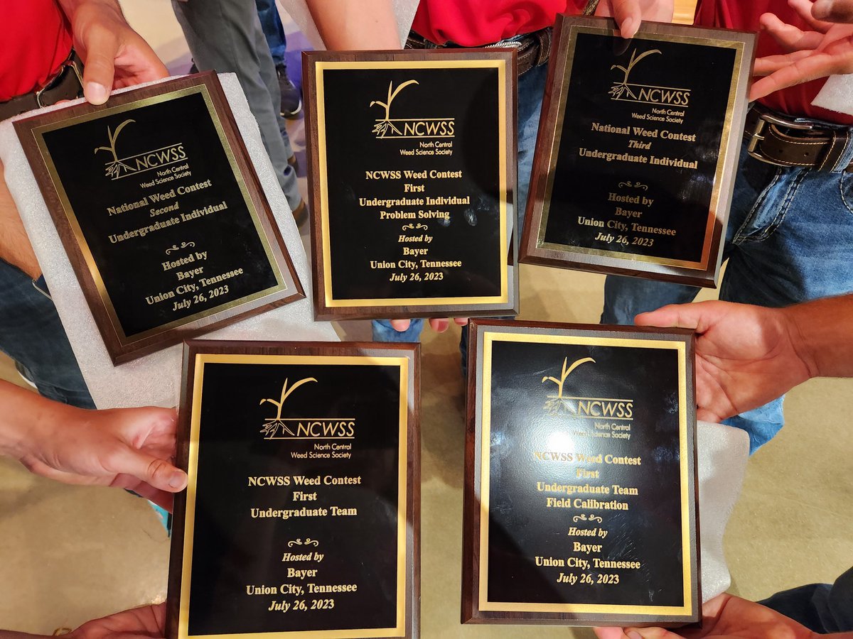 Calli Anibas tweet media