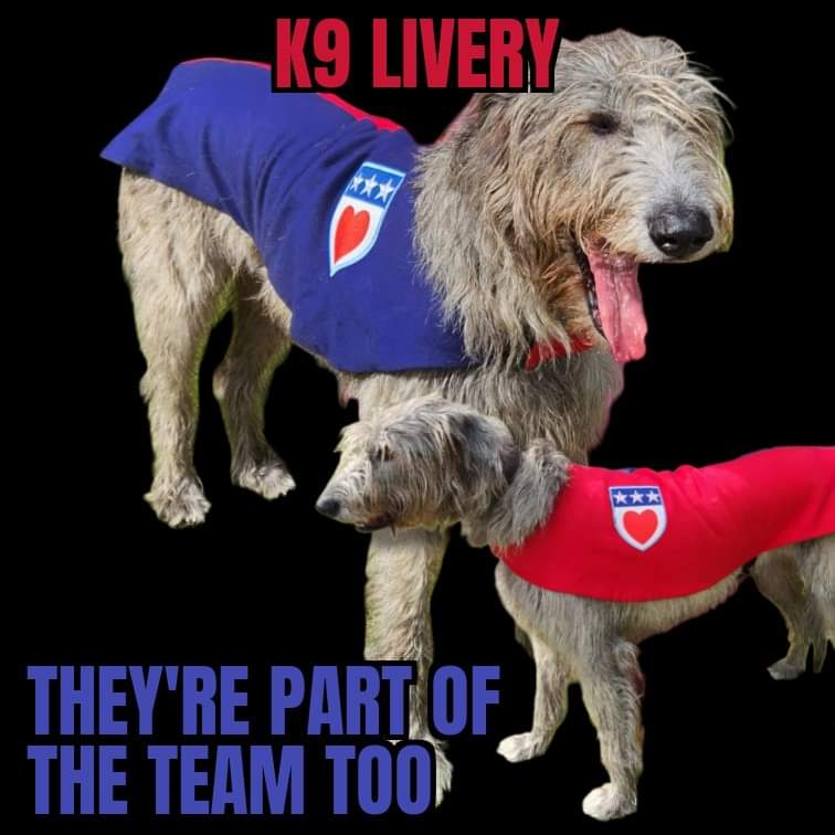 Quiverstock tweet media