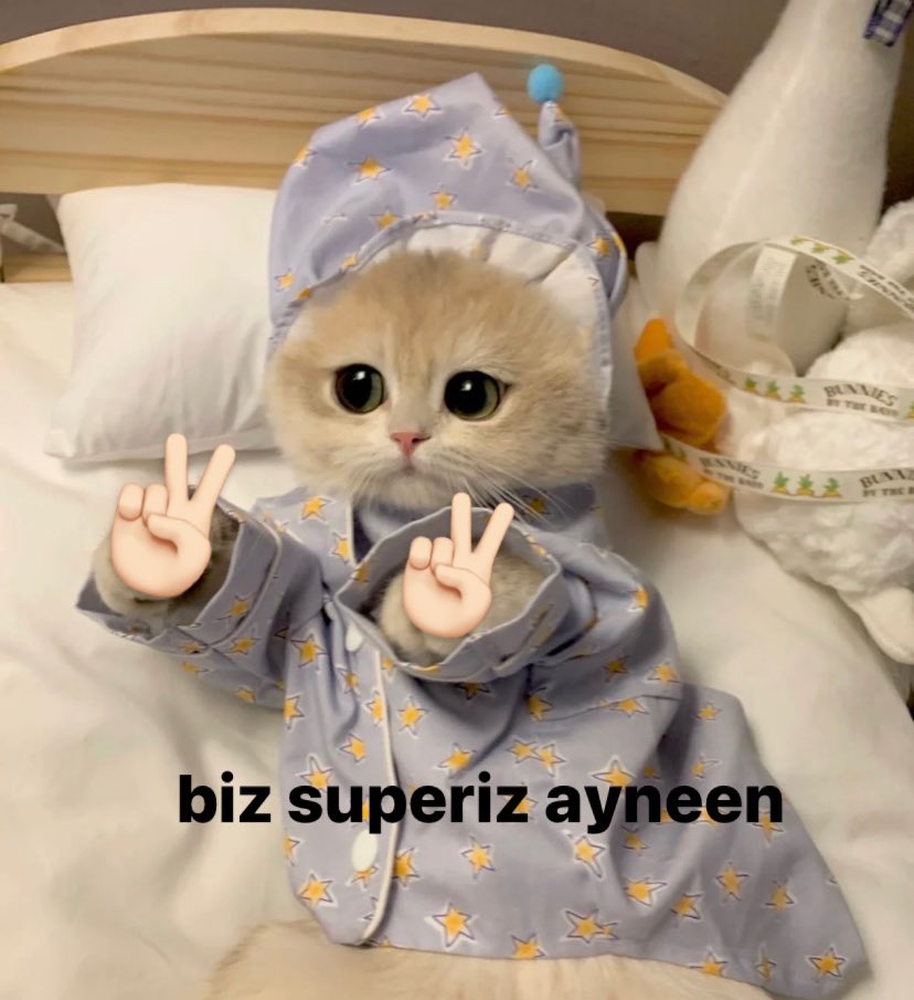 biyolcu_'s tweet photo. gece gozum cikana kadar agladiktan sonra sabah ayna karsisinda ben https://t.co/xuNnqk1Uga