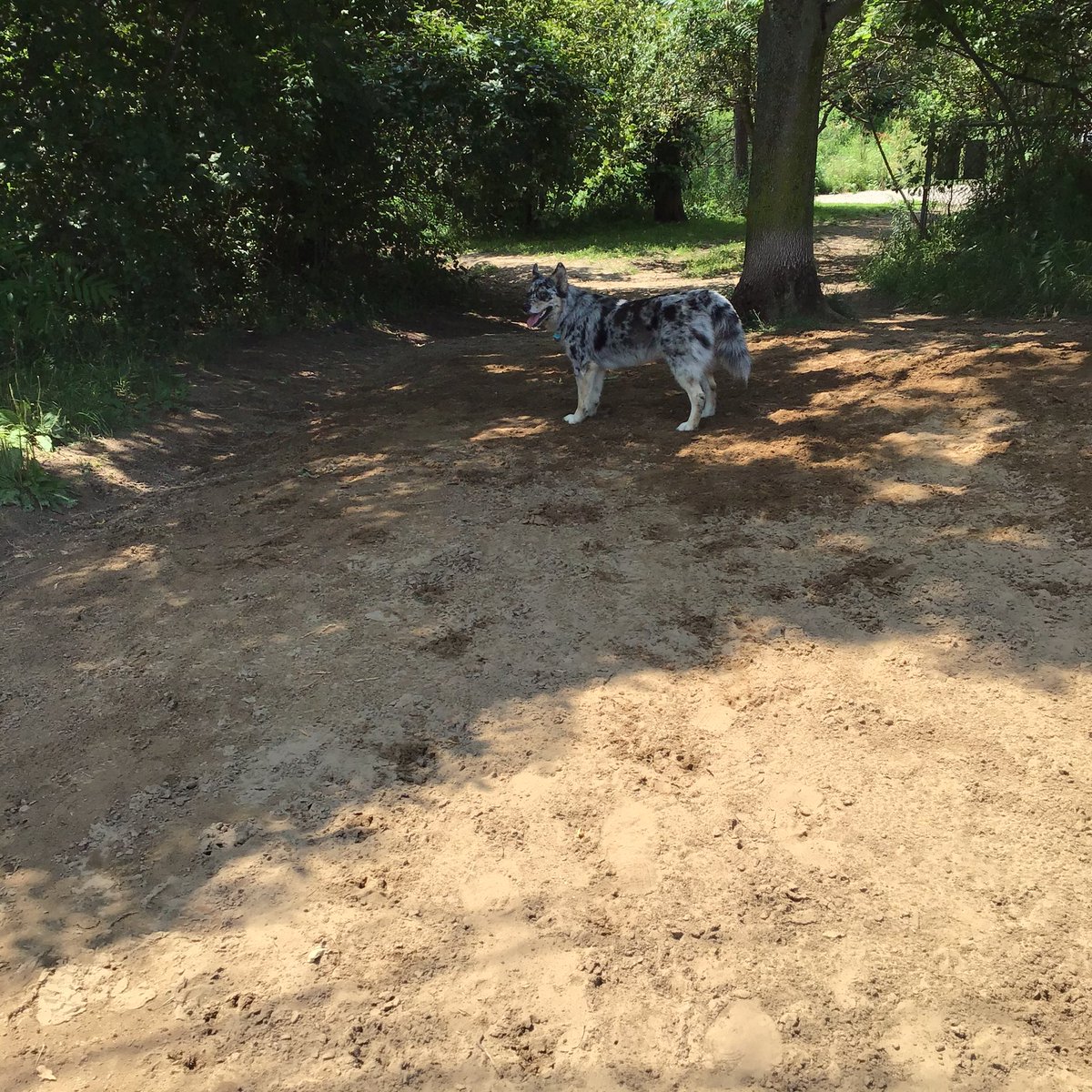 ❣️❤️Merlin& Archie 😇@AngelMocha12🇨🇦🌹Me (@charlot31041072) on Twitter photo Happy hot day from here <a href="/dogdaysinitaly/">Dino (dogdaysinitaly) and Mia</a> <a href="/NicolasFallsmy1/">Nicolas Fallsmyth - (RIP Veronica dear friend🌹)</a>
<a href="/eduardo_porben/">Ed Porben</a> 😂😂😂😂enjoy your Thursday Happy hot day from here <a href="/dogdaysinitaly/">Dino (dogdaysinitaly) and Mia</a> <a href="/NicolasFallsmy1/">Nicolas Fallsmyth - (RIP Veronica dear friend🌹)</a>
<a href="/eduardo_porben/">Ed Porben</a> 😂😂😂😂enjoy your Thursday