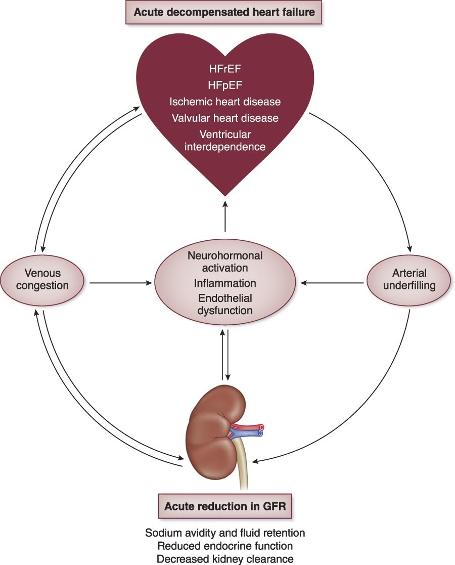 The cardiorenal syndrome refers to a group of complex, bidirectional pathophysiological pathways involving dysfunction in both the heart and kidney. This Review focuses on the cardiorenal syndrome encountered in the hospital setting bit.ly/CJASN064