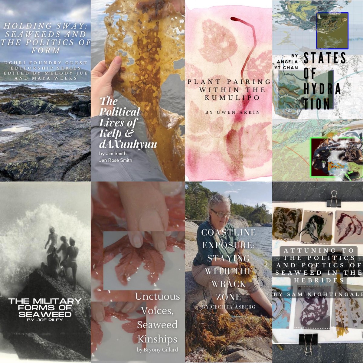 Have you checked out Holding Sway, an exciting new Foundry Guest Editorship series by Melody Jue @me1odiousone and Maya Weeks <a href="/seaweedreport/">dr. maya weeks</a> yet? Follow UCHRI on Instagram for more!
instagram.com/p/CvNcgjSt7MC/
<a href="/ucsantabarbara/">UC Santa Barbara</a> <a href="/ihcucsb/">UCSB IHC</a> <a href="/Night_Sam/">Sam Nightingale</a> @sprucehen_