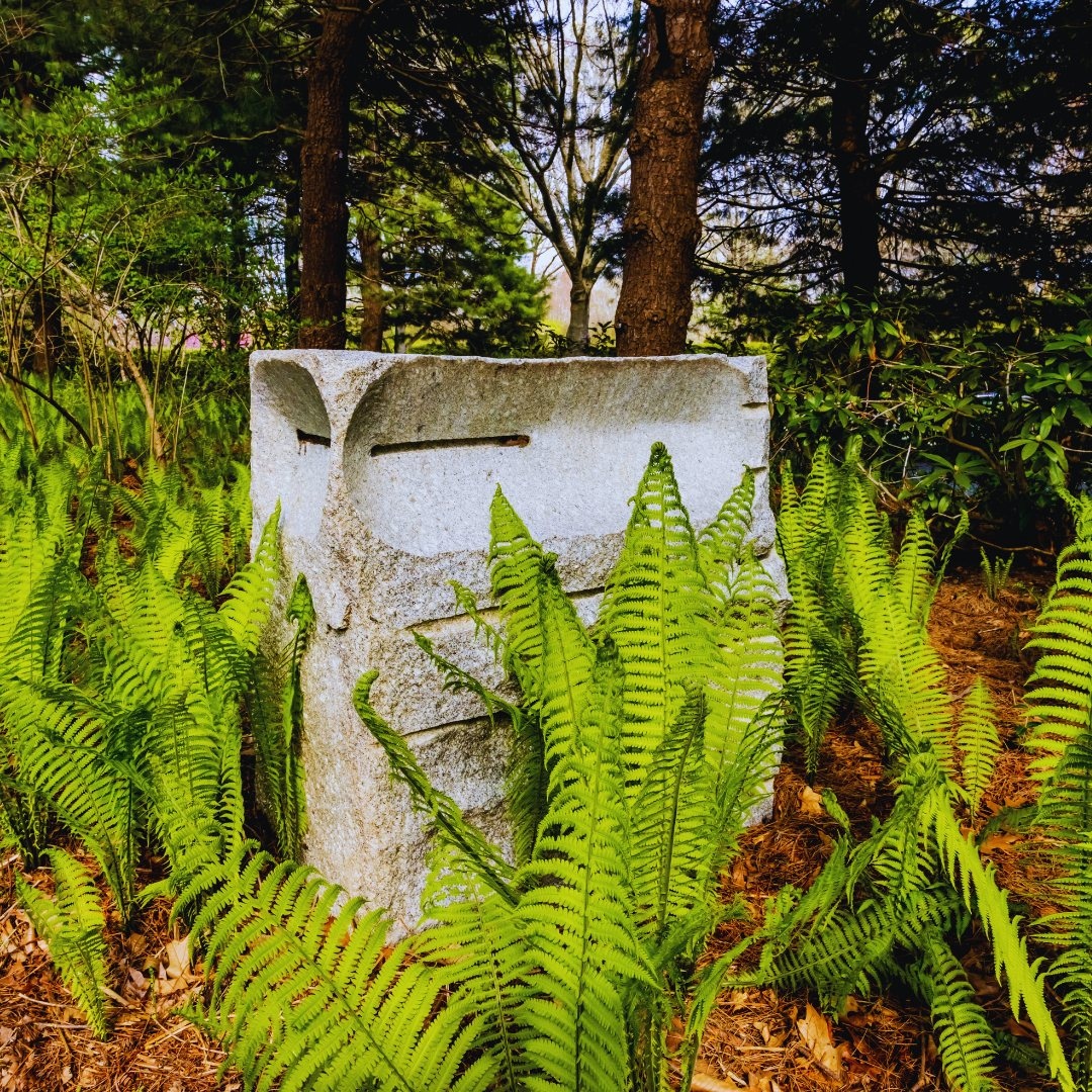 Find your moment of bliss at The Nature of Health symposium at LongHouse Reserve on August 11. Join us for a day of yoga, meditation, garden walks, and talks by Dr. Donald Rako and Dr. Dorothy Ibes, moderated by Edwina von Gal. perfectearthproject.org/events/191. ⁠📸: <a href="/philippecheng/">Philippe Cheng</a>⁠
⁠