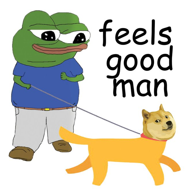 BTCxBEER's tweet photo. #frogsoverdogselon @OG_Kenobi_Hello #PEPE https://t.co/OZfGdE21uM