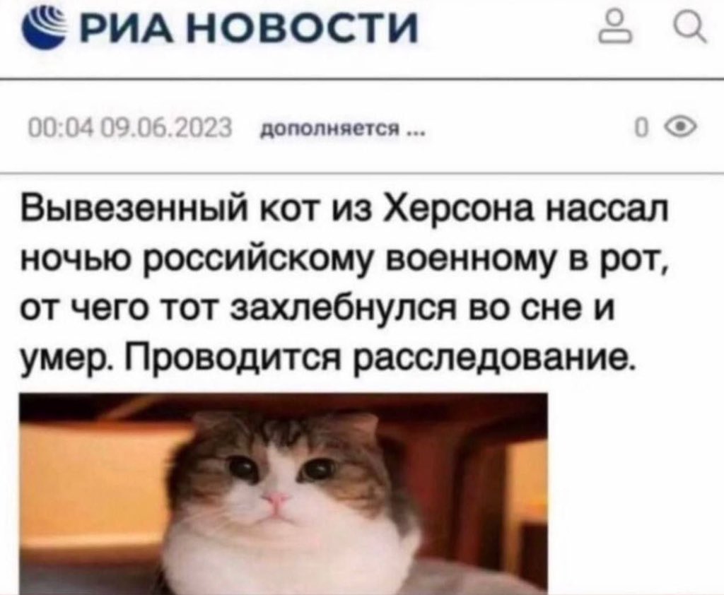 ФОП «Русофоб» (@dr_up) on Twitter photo 