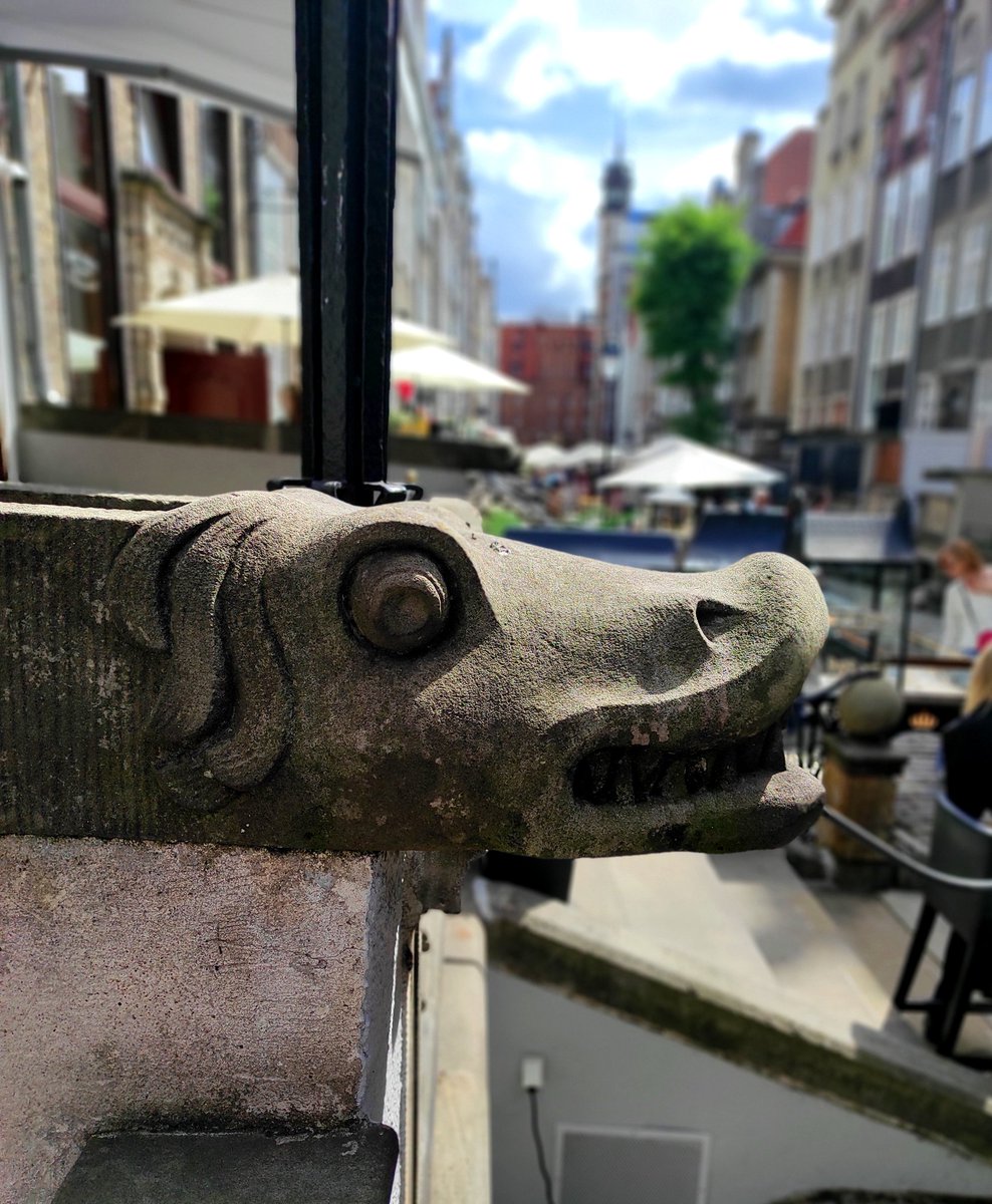 Gdańsk gargoyles - the "vomiters" Mariacka street #architecture #Gdańsk