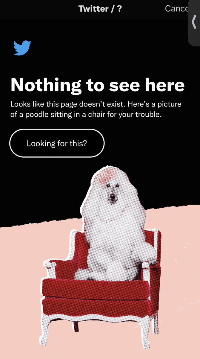 The new <a href="/twitter/">Twitter</a> report feature, a broken page