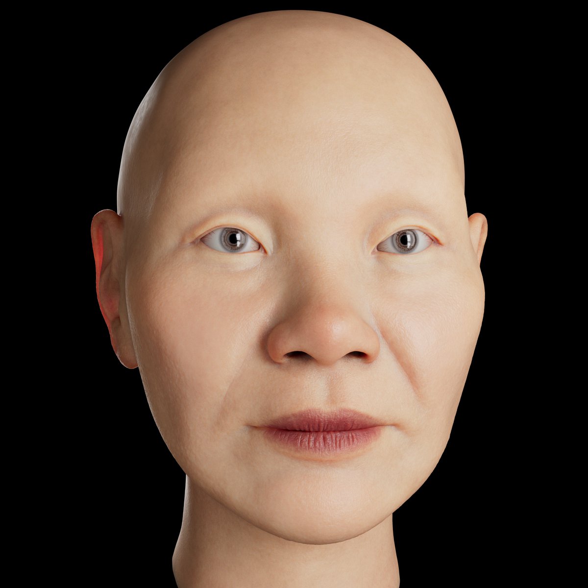 Elvinguhl's tweet photo. I've also finished rendering this pending facial anatomy exercise I had! I know it is completely bald, not even eyelashes or eyebrows, but I'd like to take my time to study X-Gen these next months!
Made with #zbrush, #Maya, #Wrap4D and #SubstancePainter
#3d #anatomy #sculpting https://t.co/DbBJHNPjxs