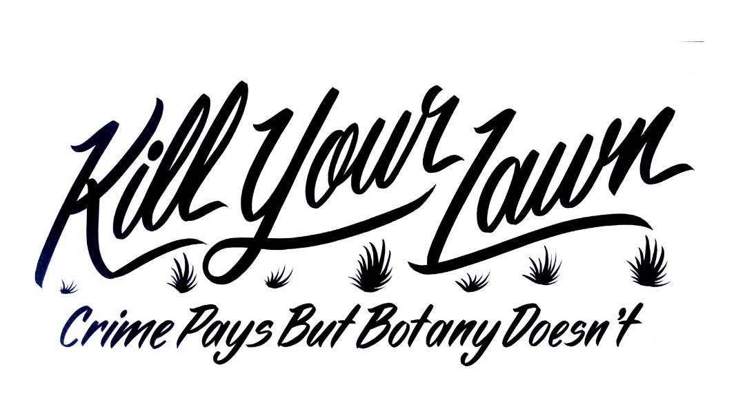 Joey Santore tweet media