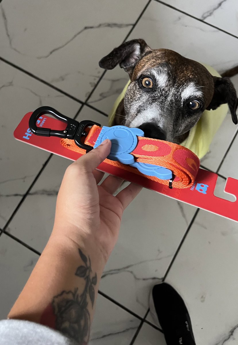 deborah pataxó 🐋 tweet media