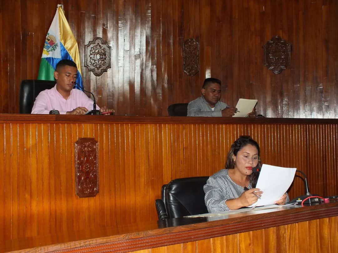 HoffmanJoseV's tweet photo. Hoy en #Sesión  #Extraordinaria aprobamos recursos enviados por el Presidente @NicolasMaduro al Ejecutivo Regional, los cuales serán destinados para adquirir insumos y medicamentos para el pueblo apureño
@dcabellor @eduardopiate2 @PartidoPSUV @PSUVEnApure 
@drodriven2 https://t.co/0GR3x4Ks53