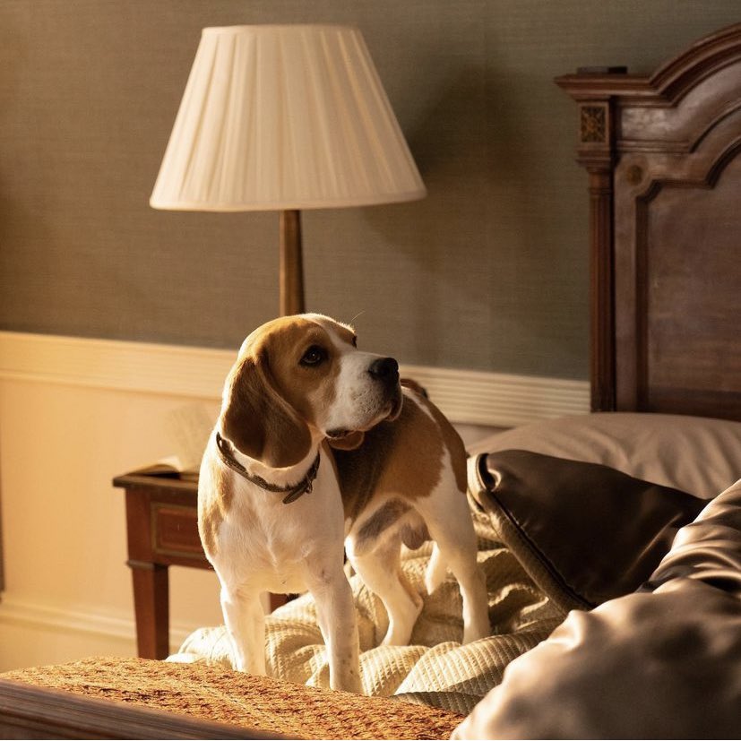 THE STARS OF THE MOVIE