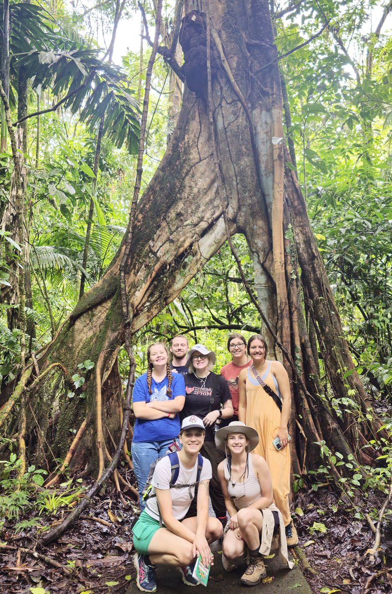 Now we are at La Selva Biological Station. This morning our Natural Resources and Environmental Science students learned about forest ecology, biodiversity and conservation in lowland rainforests. @UKAgriculture