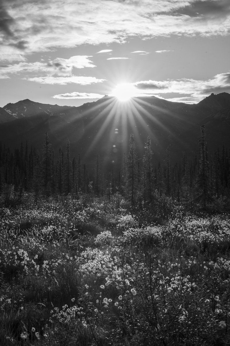 DenaliPhotoTour's tweet photo. Please say hi to Brian 👋🏻 ! 

Coming from Indiana, Brian has been leading tours in Denali this season. See some of his work! https://t.co/JRBPRjpdXq