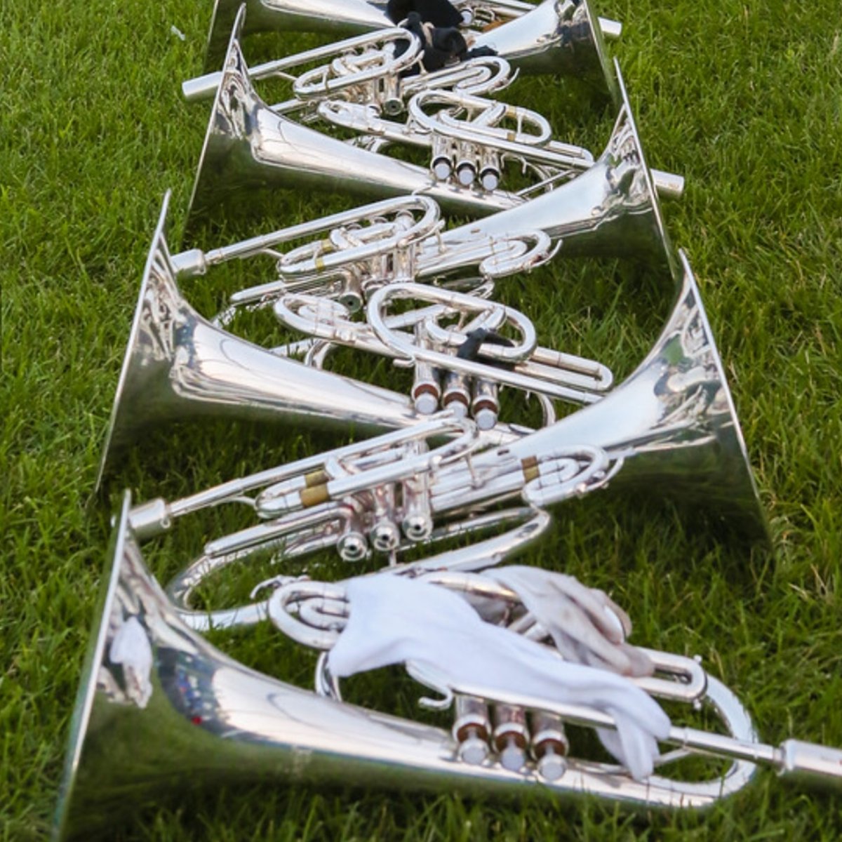 Novi Band Alumni tweet media