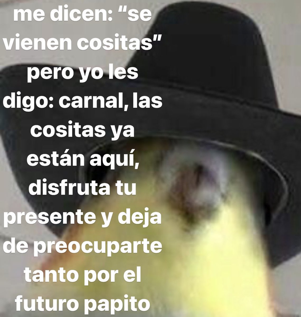 conoloracigarro's tweet photo. https://t.co/Jfw7TSx4Bv