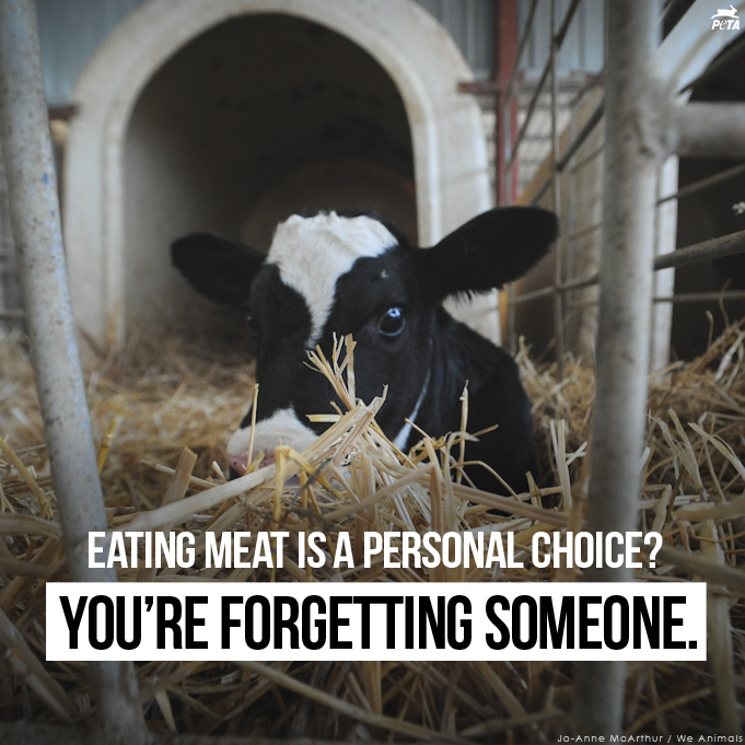 herbivore_club's tweet photo. Personal choices don't have victims 🐄 

#NationalHamburgerDay
#HamburgerDay 💔 https://t.co/mkeHOqQHVw