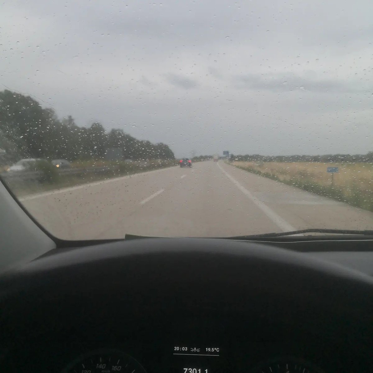 Nicole Höchst, MdB tweet media