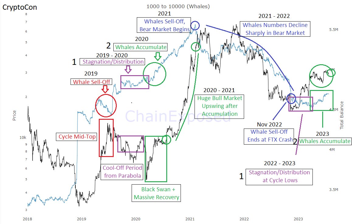 The #Bitcoin Whales are growing In fact, they have made a full scale pivot!  Pay close attention to the last time this happened after  stagnation/distribution... This is not 2019, where Whale numbers