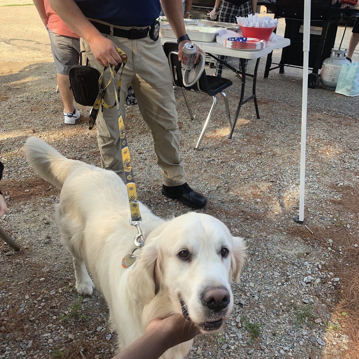 365Z Foundation tweet media