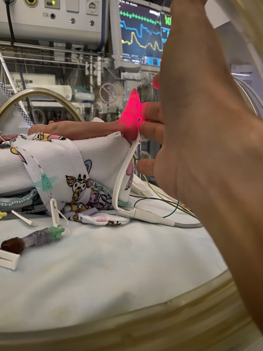 Miguel Castañeda G tweet media