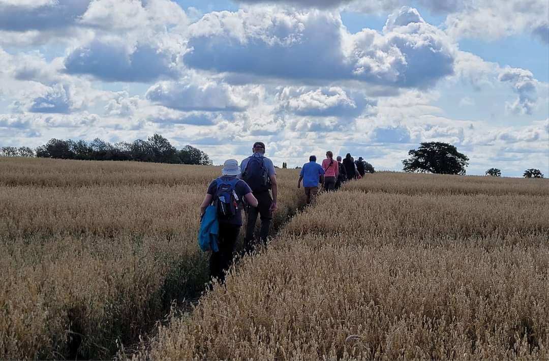 evesham ramblers tweet media