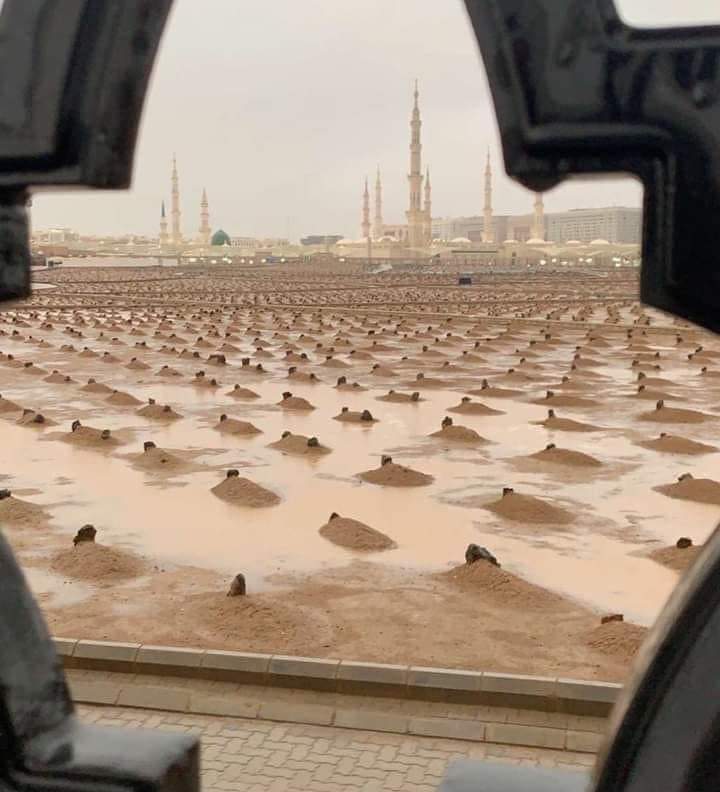 td50487's tweet photo. "وتضُمهم تلك القبورُ بليلهم
يا وحشةَ الأحياء للأمواتِ
مكسـورةٌ منّا العيون لفقدهم
صَبراً سنَنسى الفقد في الجنَّات" https://t.co/DzUaxDLqQS