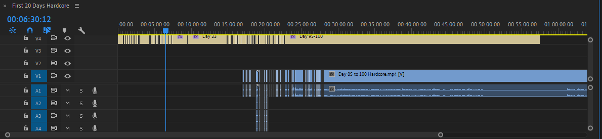 zeit_gamer's tweet photo. bro what, the first 40 days of my 100 day hardcore video just disappeared, anyone knows how to fix it? https://t.co/T8ZKfUwD65