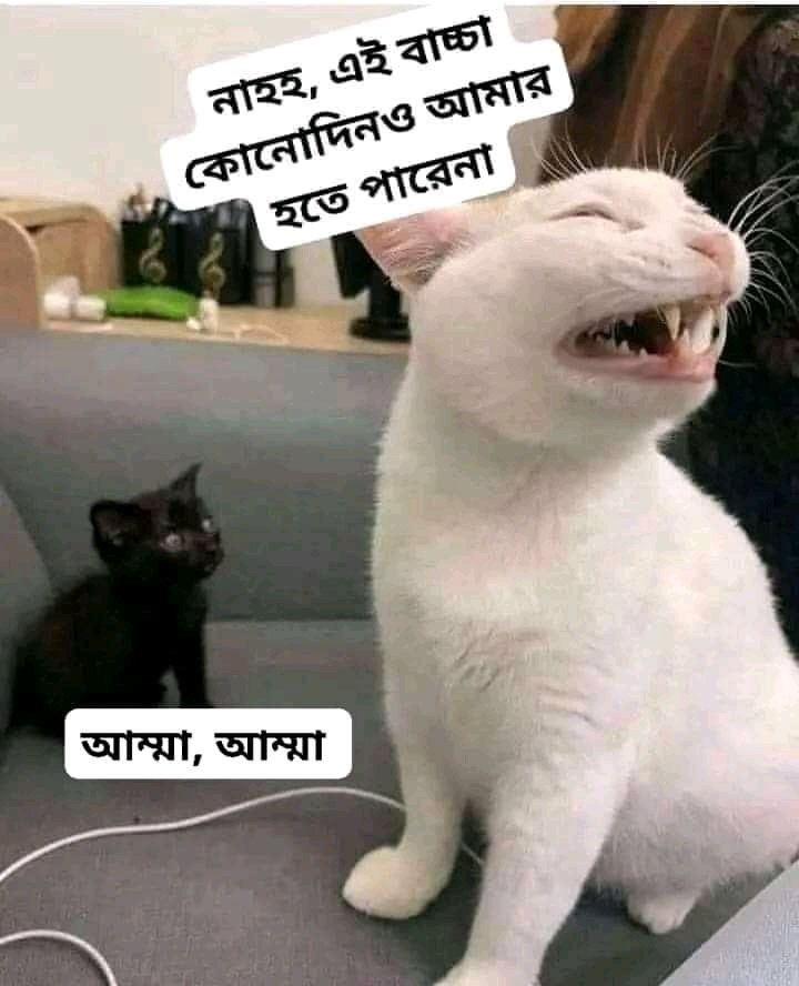 MirzaMobin11's tweet photo. বাপ কালো ছিল 🥹🥹 https://t.co/nlgMeF0EkI