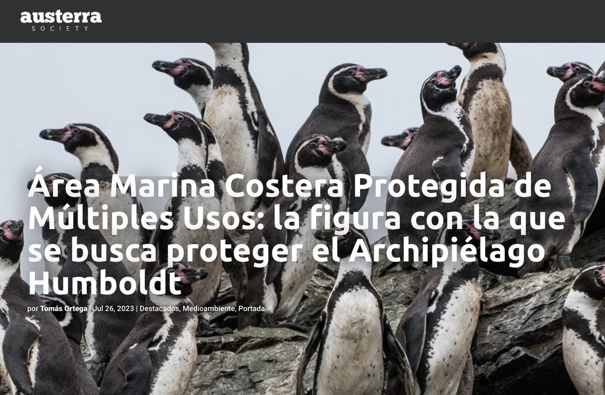 Oceana en Chile tweet media