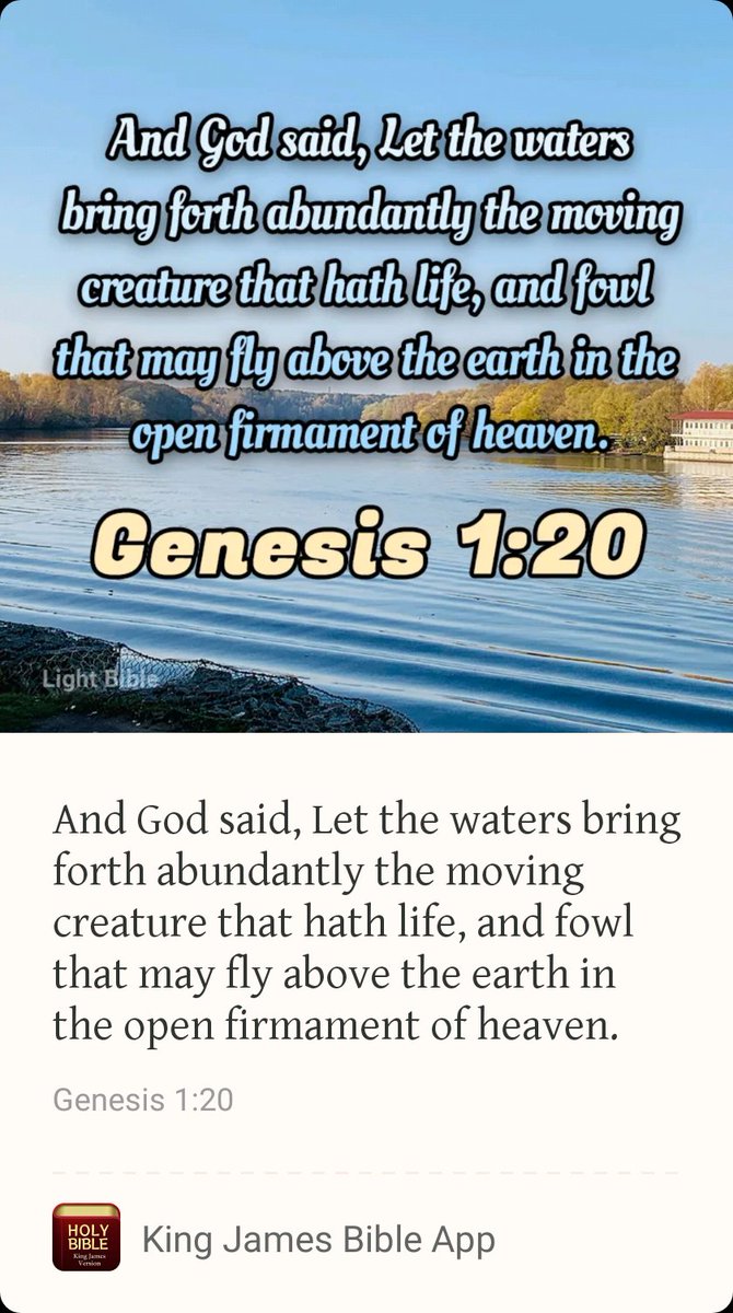 Verse of the day 07282023
6th day of the week
#daysimtheBible
#wordsofGod