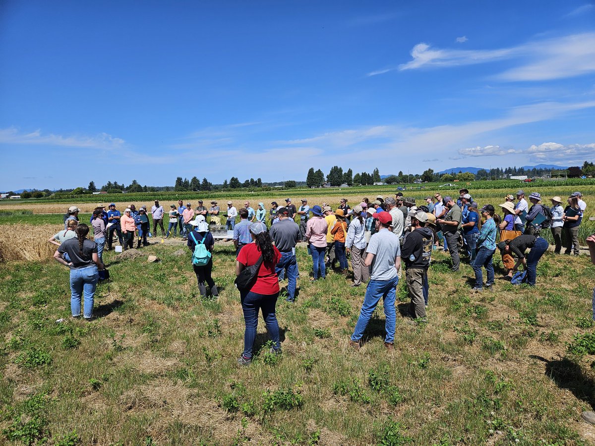 chadekruger's tweet photo. #SoilCon #SoilHealth #WSAREPDP @wsuCSANR https://t.co/cV3Hfh8VRf