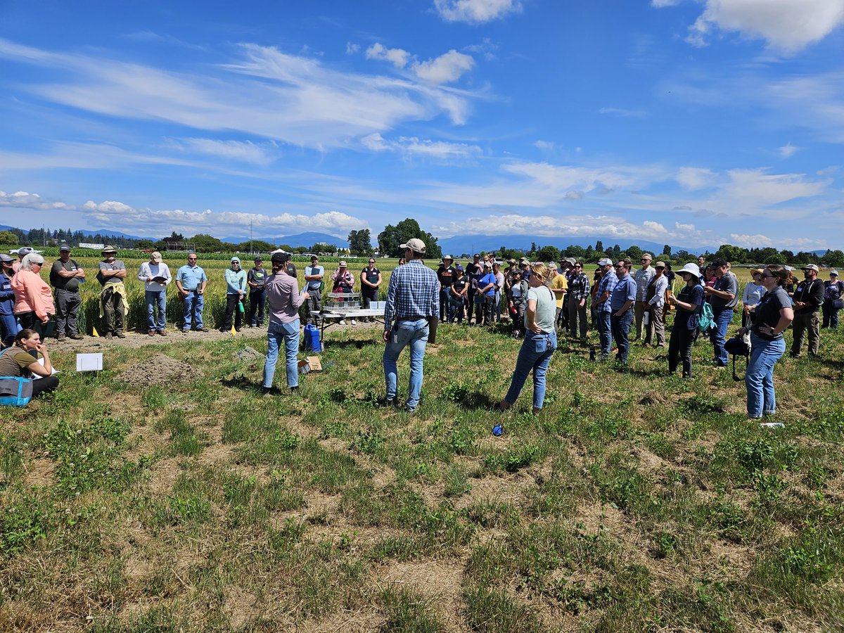 #SoilCon #SoilHealth #WSAREPDP <a href="/wsuCSANR/">Center for Sustaining Ag & Natural Resources</a>